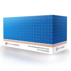 product_cleanplexlibrarykit_500x500 CleanMag magnetic beads