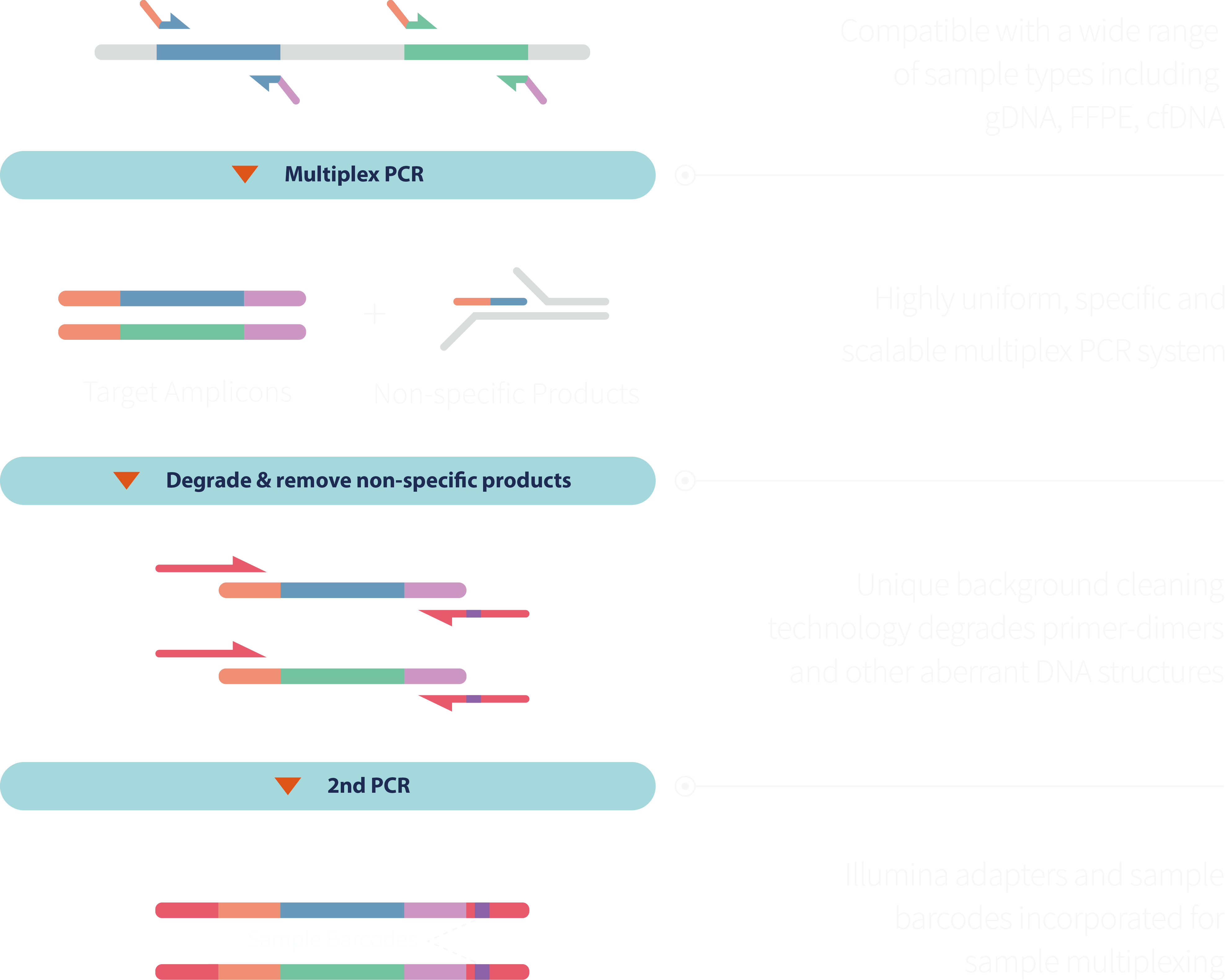 CleanPlex Multiplex PCR Target Enrichment Workflow cleanplex amplicon sequencing library prep workflow