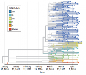 Genomic Epidemiology of SARS-CoV-2 Infection