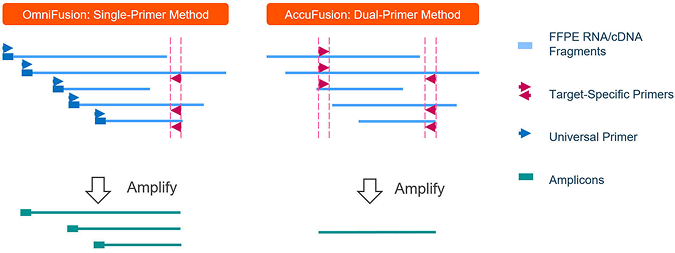 A Typical Hybrid Capture Target Enrichment workflow
