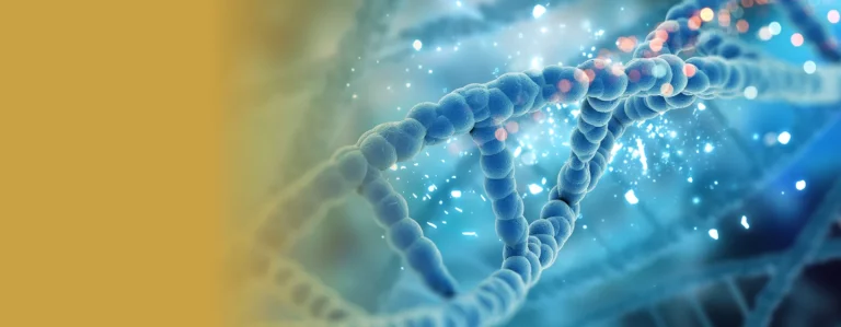Amplicon Sequencing for CRISPR Gene Editing QC