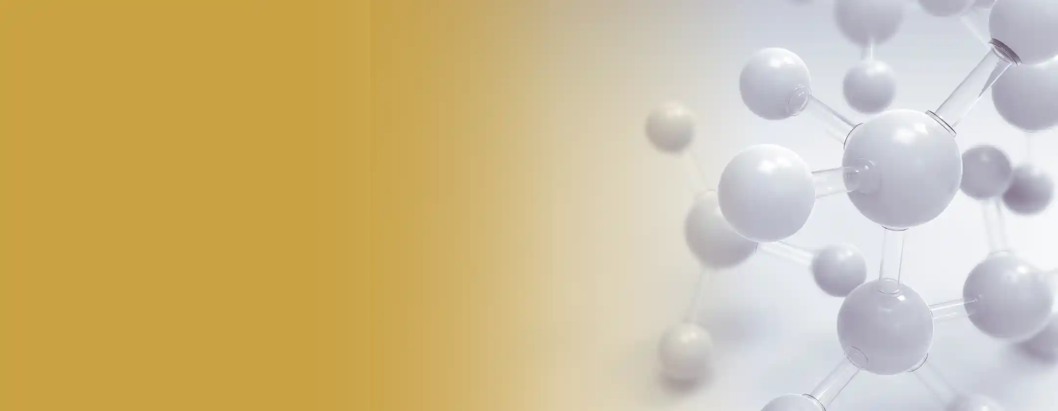 Amplicon Sequencing