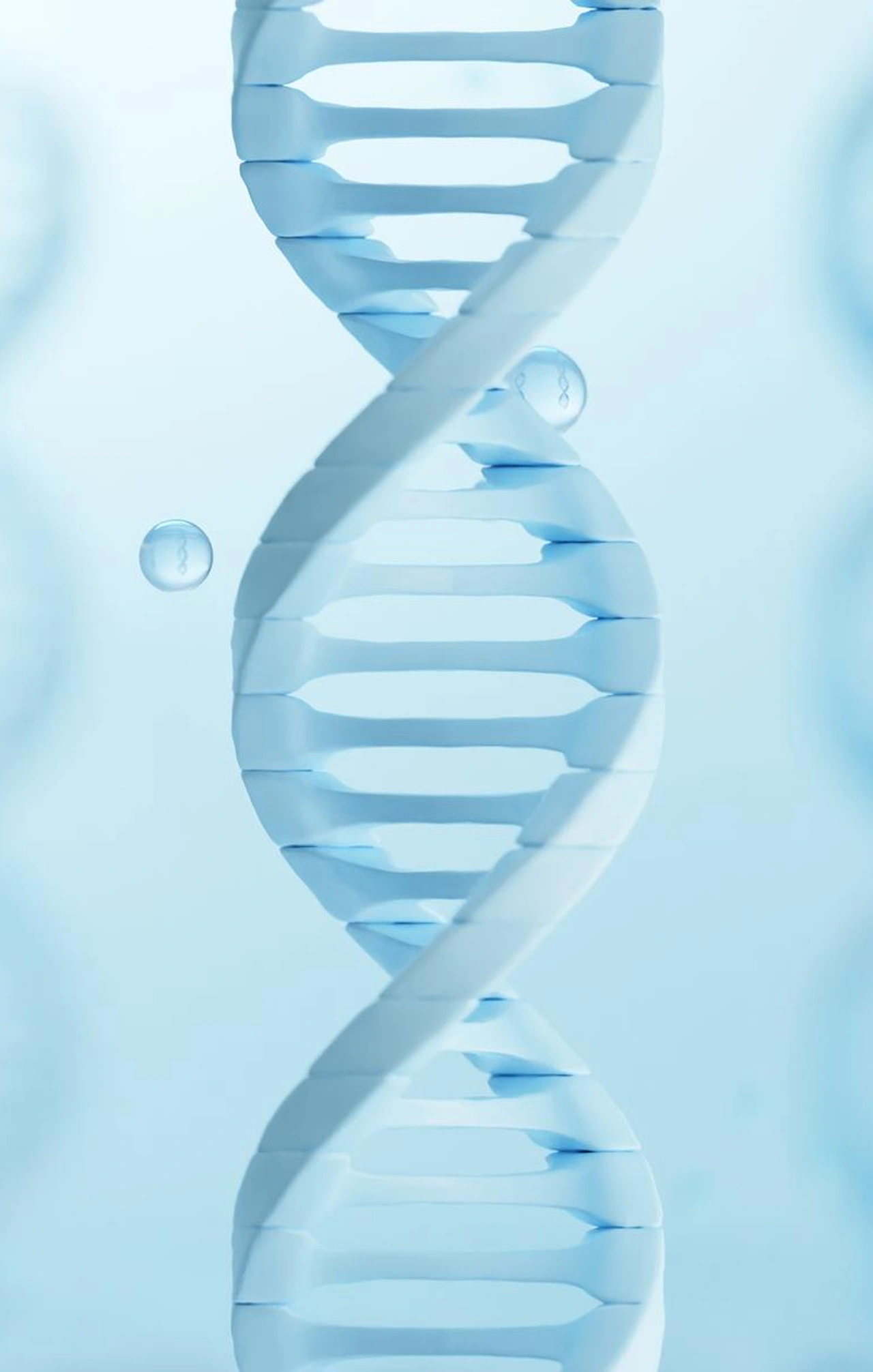 CNV Detection