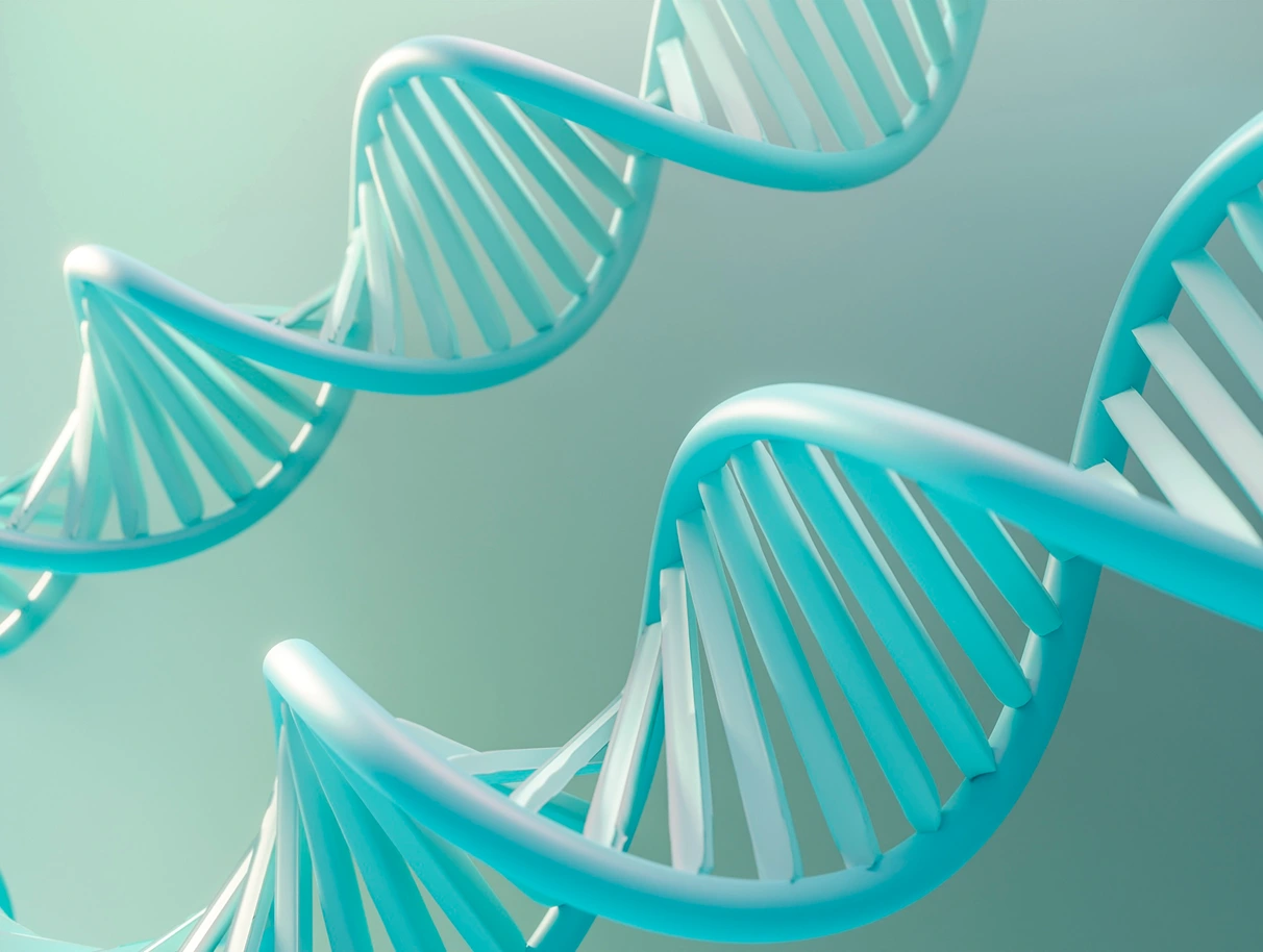 CNV Detection