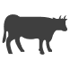 Cattle