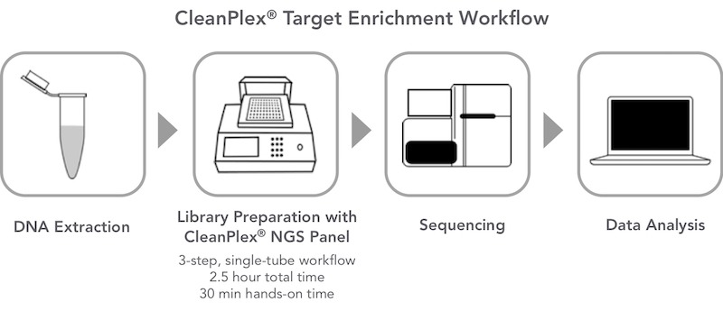 CleanPlex_TE_workflow_800w