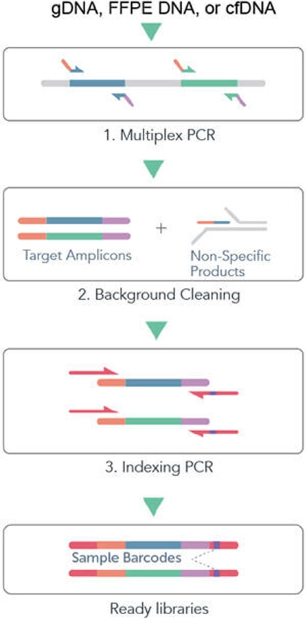DNA extraction from CRISPR