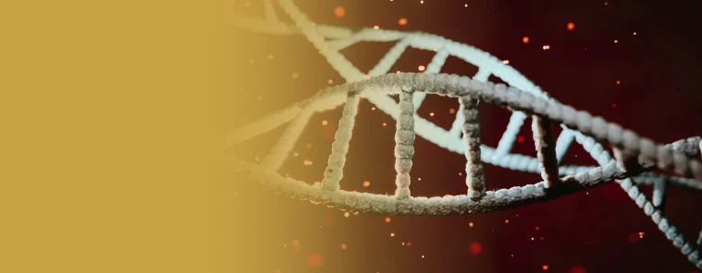 Detecting Rare Mutations