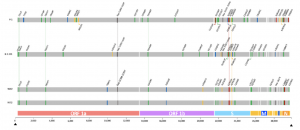 Detection of the new SARS-CoV-2 variant B.1.526