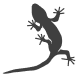 Gecko