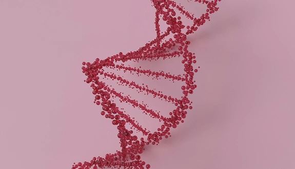 Inherited Disease