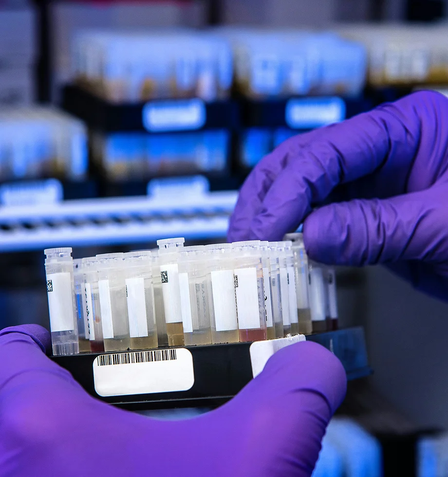 CNV Detection