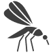 Mosquito
