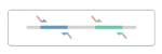 Multiplex PCR