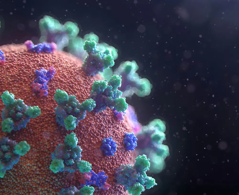 NGS for Coronavirus