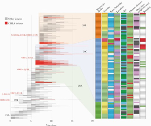 High Prevalence of SARS-CoV-2 Genetic Variation and D614G Mutation