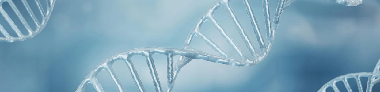 Amplicon Sequencing vs. Hybrid Capture
