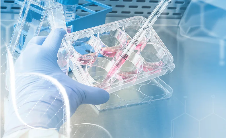 Pharma & Biotech Research
