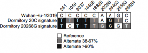 SARS-CoV-2 variant detection