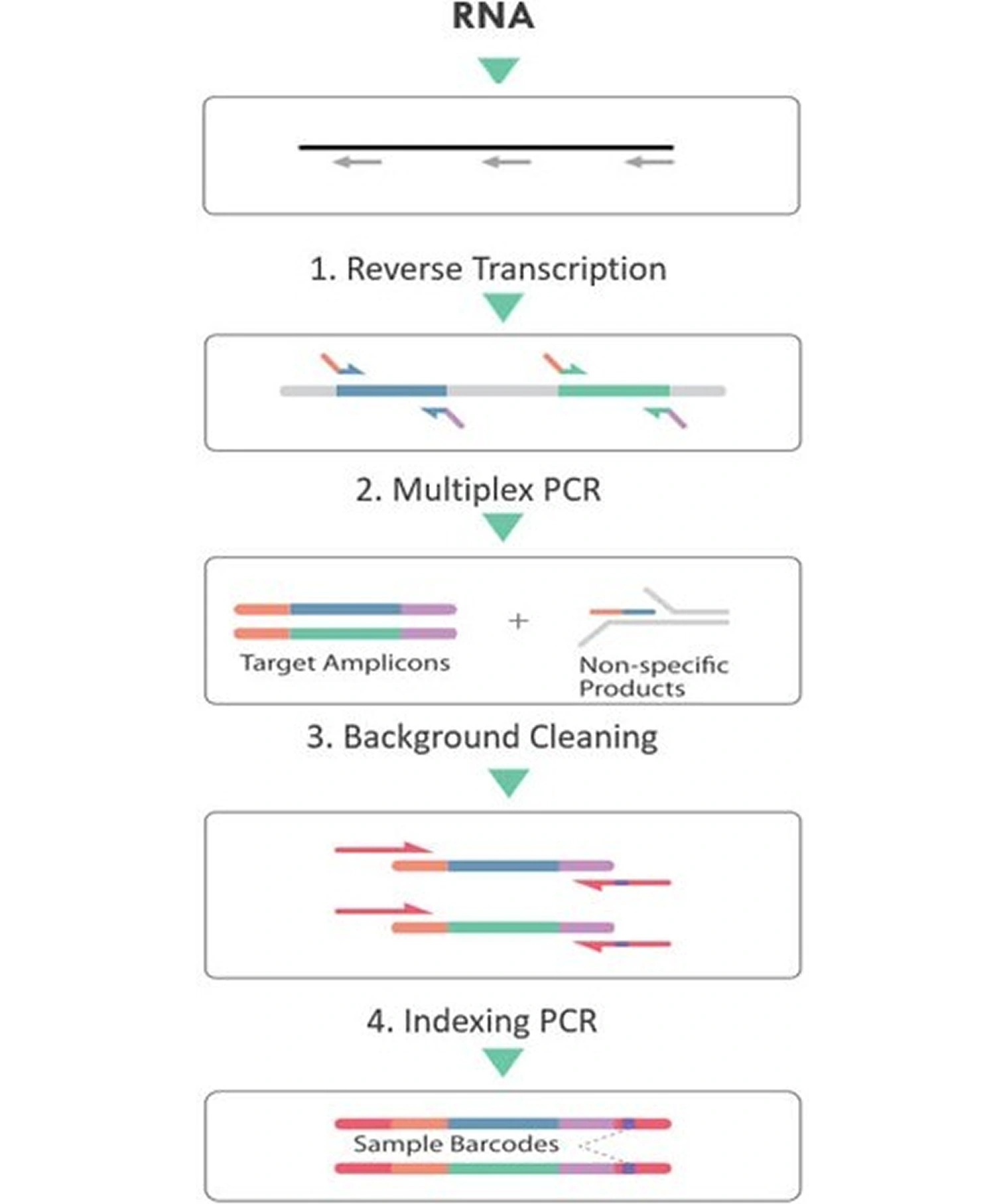 RNA target enrichment
