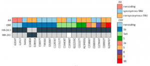 SARS-CoV-2 Reinfection in a Healthcare Worker