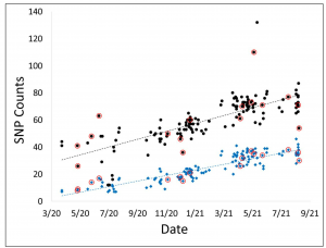 COVID-19 Infection and Transmission Includes Complex Sequence Diversity