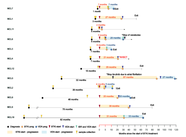 Timeline and main clinical features of MCL patients