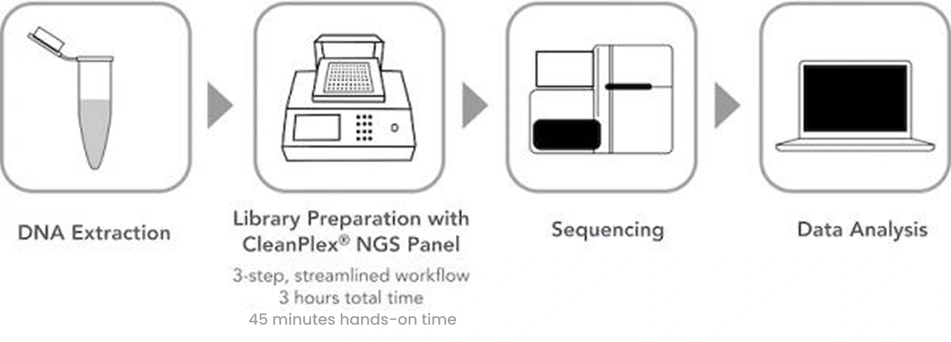 Typical Targeted Sequencing Workflow
