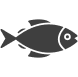 Zebrafish
