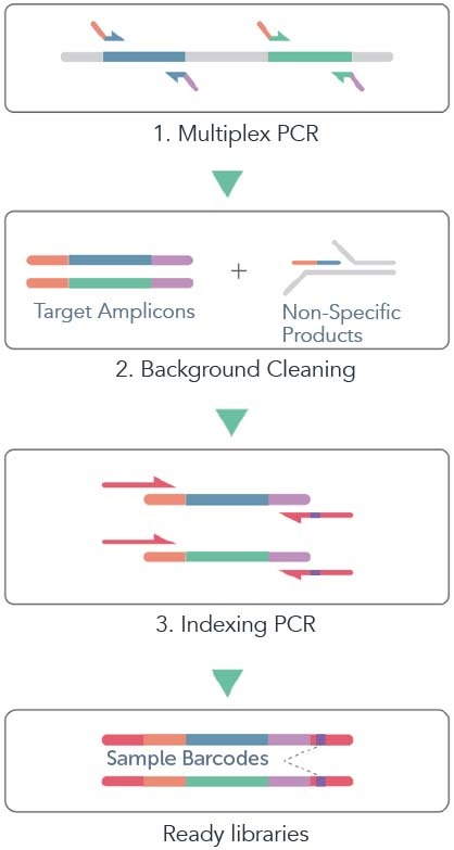 CleanPlex Amplicon Sequencing Target Enrichment and Library Preparation Workflow