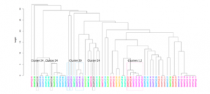 Utility of viral whole genome sequencing