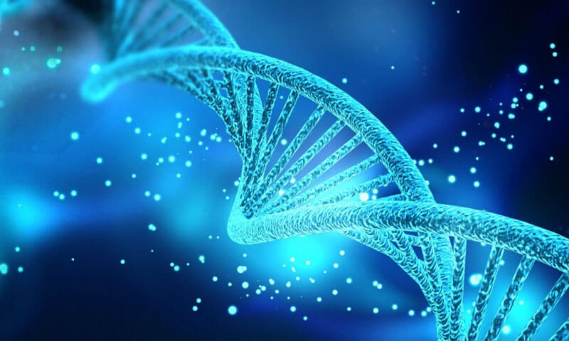 inherited diseases and genetic disorders research via NGS targeted amplicon sequencing