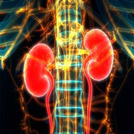 Nephrology