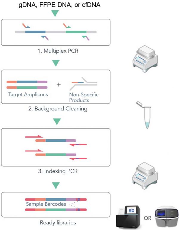CleanPlex NGS Target Enrichment Amplicon Sequencing Paragon Genomics