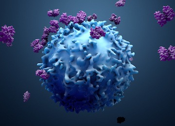 single cell circulating tumor cells analysis via NGS targeted sequencing