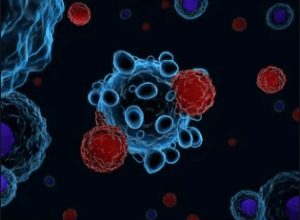 Tcell Rendering of a T Cell