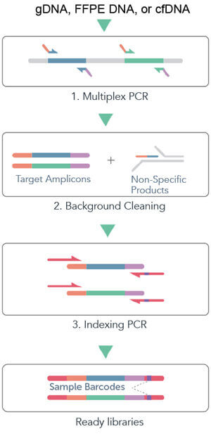 cleanplex DNA amplicon sequencing target enrichment and library preparation workflow