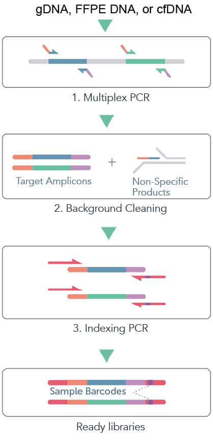 cleanplex DNA amplicon sequencing target enrichment and library preparation workflow cleanplex DNA amplicon sequencing target enrichment and library preparation workflow