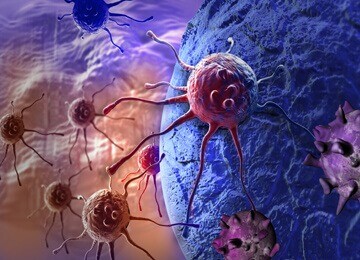Rendering of a T Cell
