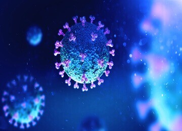 publication_coronavirus_360x260_compressed The origin of SARS-CoV-2 in Istanbul: Sequencing findings from the epicenter of the pandemic in Turkey