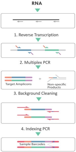 cleanplex RNA target enrichment library preparation workflow