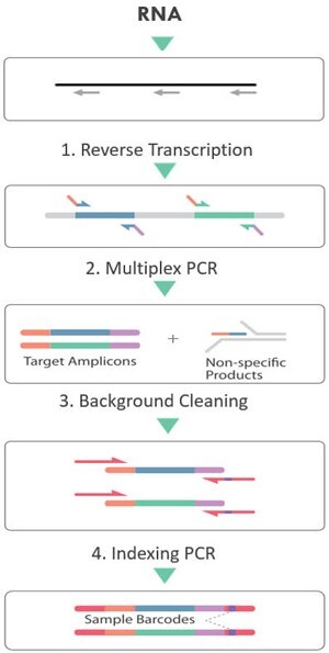 cleanplex RNA target enrichment library preparation workflow cleanplex RNA target enrichment library preparation workflow