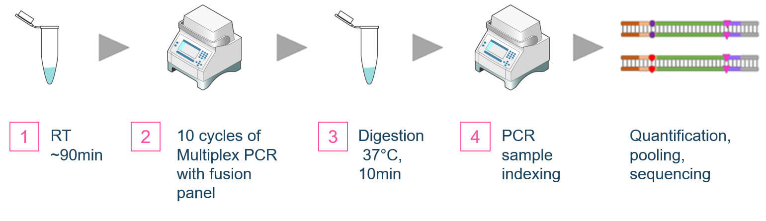 AccuFusion Dual-Primer Gene Fusion Detection Workflow