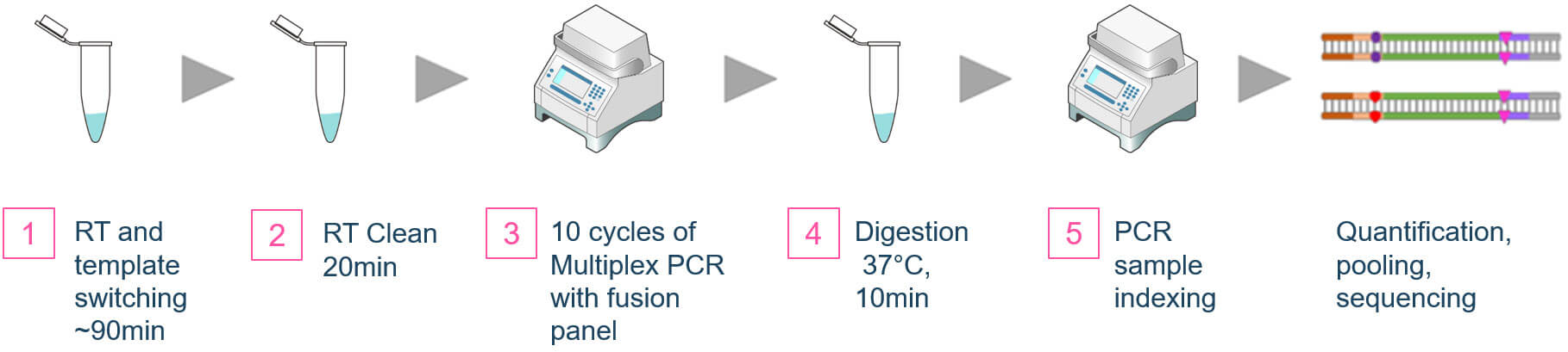 OmniFusion Single-Primer Gene Fusion Detection Workflow