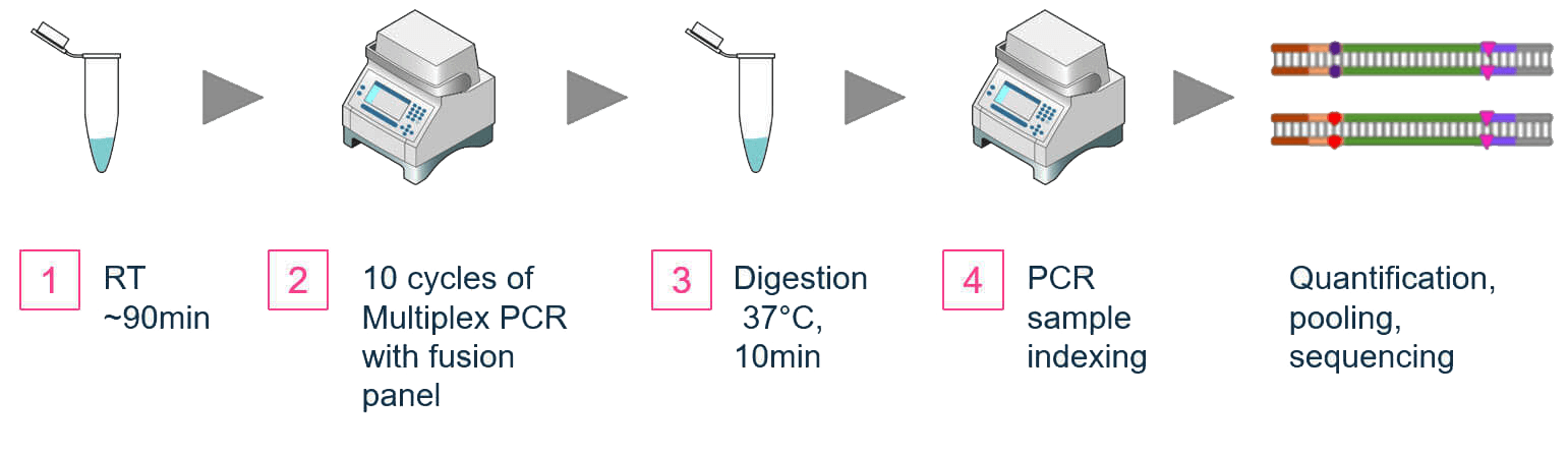 AccuFusion-Dual-Primer-Gene-Fusion-Detection-Workflow-cp