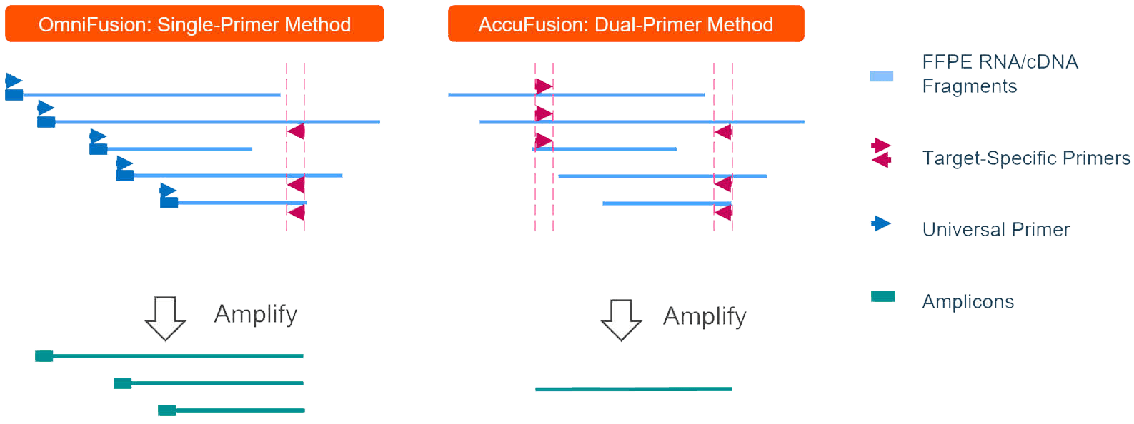 AccuFusion vs OmniFusion Targeted RNA fusion detection schematic comparison AccuFusion vs OmniFusion Targeted RNA fusion detection schematic comparison
