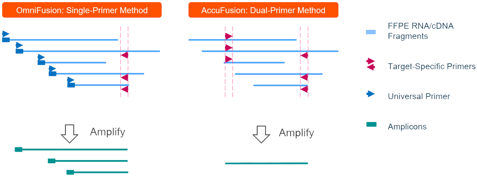 AccuFusion vs OmniFusion Targeted RNA fusion detection schematic comparison