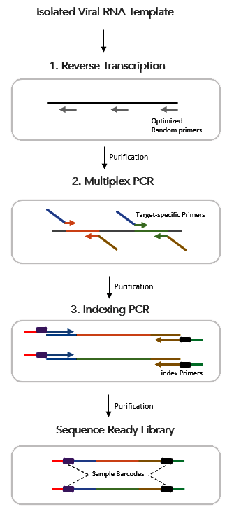 CleanPlex RNA COVID-19 SARS-CoV-2 Amplicon Sequencing library preparation and target enrichment workflow CleanPlex RNA COVID-19 SARS-CoV-2 Amplicon Sequencing library preparation and target enrichment workflow