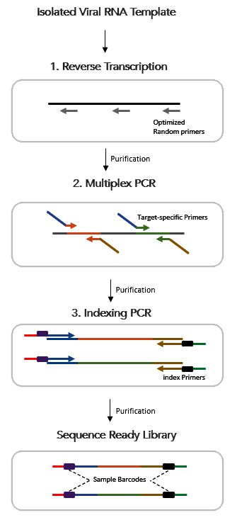 CleanPlex RNA COVID-19 SARS-CoV-2 Amplicon Sequencing library preparation and target enrichment workflow