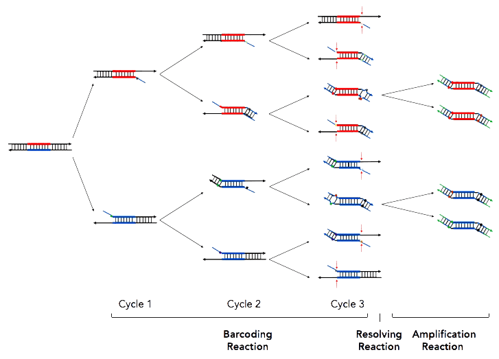 CleanPlex UMI Molecular Barcoding and Resolving Chemistries compressed